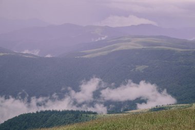 gündüz Blyznytsya Dağı görünümü, Kvasy, Ukrayna 