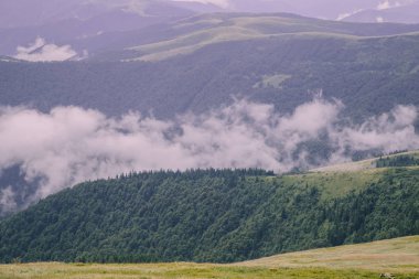 gündüz Blyznytsya Dağı görünümü, Kvasy, Ukrayna 