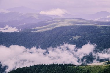 gündüz Blyznytsya Dağı görünümü, Kvasy, Ukrayna 