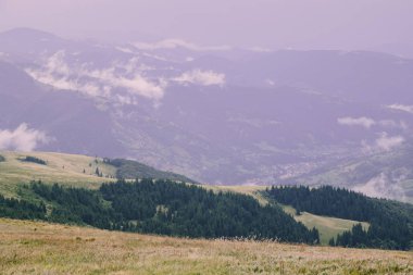 gündüz Blyznytsya Dağı görünümü, Kvasy, Ukrayna 