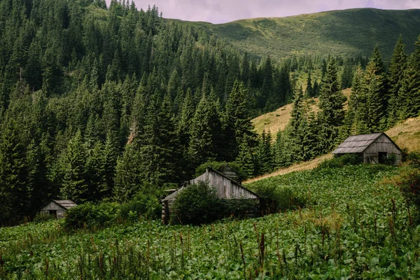 Вид Гору Близница Днем Квасы Украина — стоковое фото