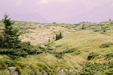 gündüz Blyznytsya Dağı görünümü, Kvasy, Ukrayna 