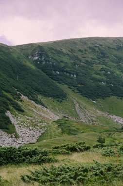 gündüz Blyznytsya Dağı görünümü, Kvasy, Ukrayna 