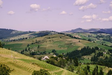 Karpat dağlarında yaz saati havadan görünümü, Ukrayna