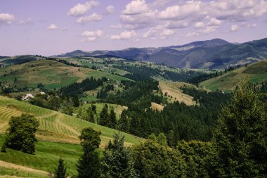 Karpat dağlarında yaz saati havadan görünümü, Ukrayna