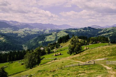 Karpat dağlarında yaz saati havadan görünümü, Ukrayna