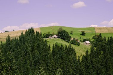 Karpat dağları ile doğal peyzaj, Ukrayna