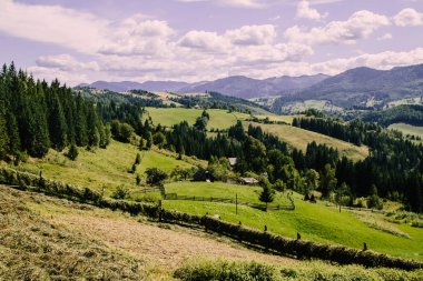 Karpat dağları ile doğal peyzaj, Ukrayna