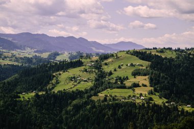 Karpat dağlarında yaz saati havadan görünümü, Ukrayna