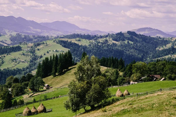 Natuur Landschap Met Karpaten Oekraïne — Stockfoto