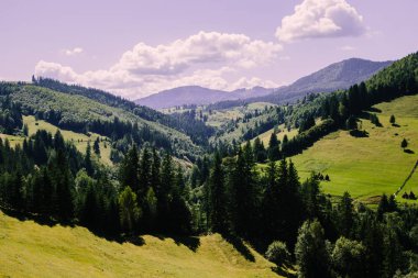 Karpat dağlarında yaz saati havadan görünümü, Ukrayna