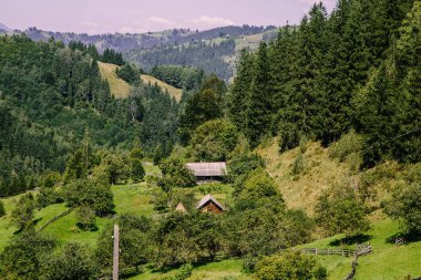 Karpat dağları ile doğal peyzaj, Ukrayna