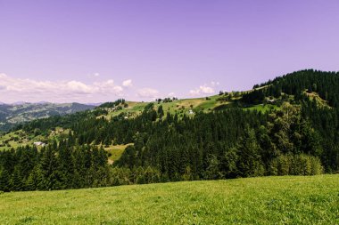 Karpat dağlarında yaz saati havadan görünümü, Ukrayna