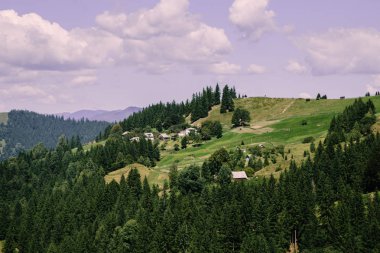 Karpat dağlarında yaz saati havadan görünümü, Ukrayna