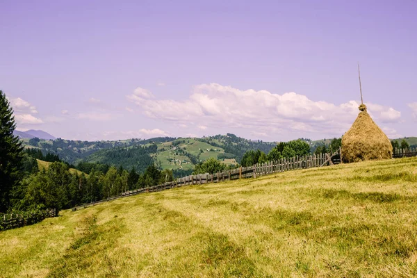 Natuur Landschap Met Karpaten Oekraïne — Stockfoto