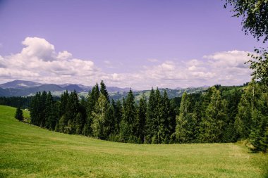 Karpat dağlarında yaz saati havadan görünümü, Ukrayna