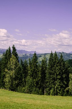 Karpat dağlarında yaz saati havadan görünümü, Ukrayna