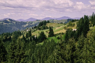 Karpat dağlarında yaz saati havadan görünümü, Ukrayna