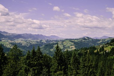 Karpat dağlarında yaz saati havadan görünümü, Ukrayna