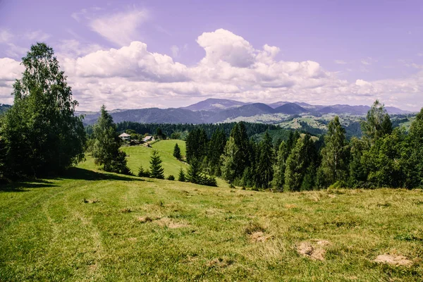 Natuur Landschap Met Karpaten Oekraïne — Stockfoto