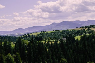 Karpat dağlarındaki tarlalar, Ukrayna