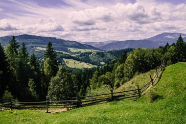 Karpat dağlarındaki tarlalar, Ukrayna