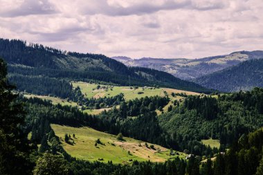 Karpat dağlarındaki tarlalar, Ukrayna