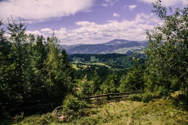 Karpat dağlarındaki tarlalar, Ukrayna