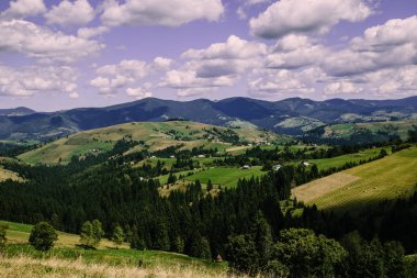 Karpat dağlarındaki tarlalar, Ukrayna