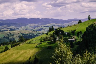 Karpat dağlarındaki tarlalar, Ukrayna