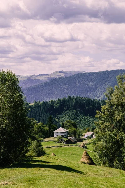 Karpat dağlarındaki tarlalar, Ukrayna