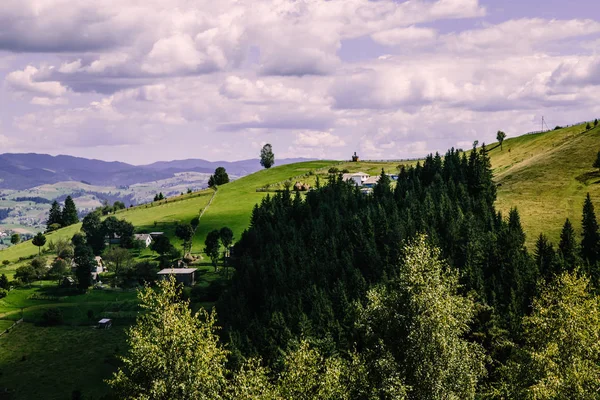 Campos Cárpatos Montañas Ucrania — Foto de Stock