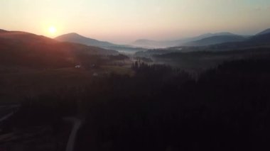 Sis kaplı orman ve dağlar üzerinde dramatik gün batımı, Verhovyna, Ukrayna