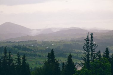 Yeblunytsya, Yaremche, Ukrayna 'da gündüz vakti sisli dağlarla kaplı doğal manzara