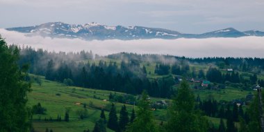 Gündüz vakti Yeblunytsya, Yaremche, Ukrayna 'da bulutlarla kaplı doğal manzara.