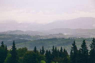 Yeblunytsya, Yaremche, Ukrayna 'da gündüz vakti sisli dağlarla kaplı doğal manzara