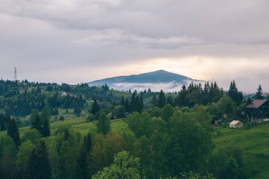 Gündüz vakti Yeblunytsya, Yaremche, Ukrayna 'da bulutlarla kaplı doğal manzara.