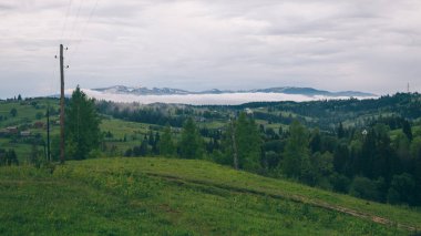 Gündüz vakti Yeblunytsya, Yaremche, Ukrayna 'da bulutlarla kaplı doğal manzara.