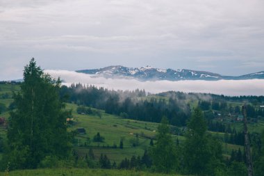 Gündüz vakti Yeblunytsya, Yaremche, Ukrayna 'da bulutlarla kaplı doğal manzara.