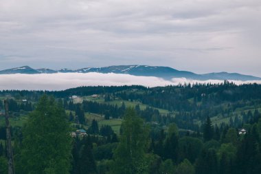 Gündüz vakti Yeblunytsya, Yaremche, Ukrayna 'da bulutlarla kaplı doğal manzara.