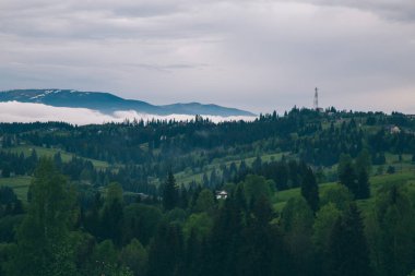 Gündüz vakti Yeblunytsya, Yaremche, Ukrayna 'da bulutlarla kaplı doğal manzara.