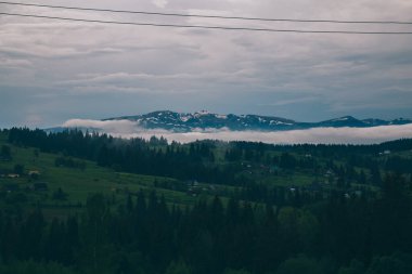 Gündüz vakti Yeblunytsya, Yaremche, Ukrayna 'da bulutlarla kaplı doğal manzara.