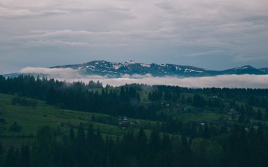 Gündüz vakti Yeblunytsya, Yaremche, Ukrayna 'da bulutlarla kaplı doğal manzara.