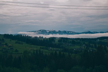 Gündüz vakti Yeblunytsya, Yaremche, Ukrayna 'da bulutlarla kaplı doğal manzara.
