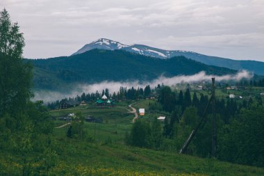 Gündüz vakti Yeblunytsya, Yaremche, Ukrayna 'da bulutlarla kaplı doğal manzara.