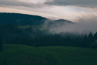 Gündüz vakti Yeblunytsya, Yaremche, Ukrayna 'da bulutlarla kaplı doğal manzara.
