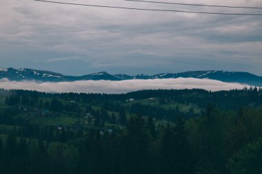 Gündüz vakti Yeblunytsya, Yaremche, Ukrayna 'da bulutlarla kaplı doğal manzara.