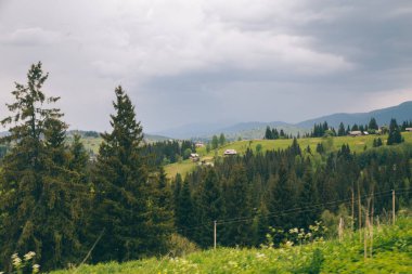 Yeblunytsya, Yaremche bölgesi, Ukrayna 'da köknar ağaçları ve dağ tepeleri ile doğal manzara