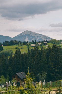 Yeblunytsya, Yaremche bölgesi, Ukrayna 'da köknar ağaçları ve dağ tepeleri ile doğal manzara