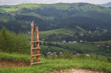 Gündüz vakti yeşil ağaçlar ve Karpat dağlarıyla doğal manzara, Ukrayna